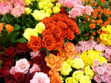 「フローリスト　ムラタ」　（北海道旭川市）の花屋店舗写真1